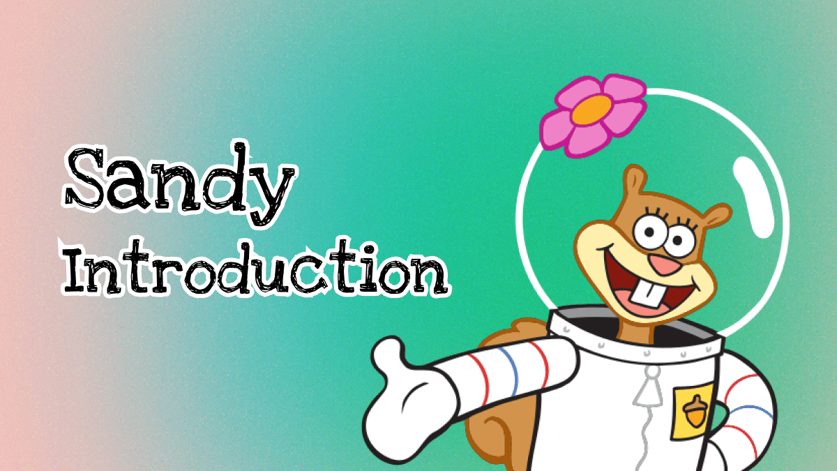 Introducing Sandy